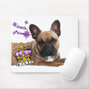 Buscar bulldogge Hund