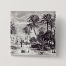 Buscar oasis chapas Desierto