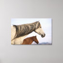Buscar mustango fotografía Vaquero