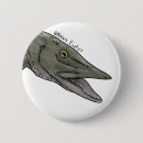 Buscar pinza chapas Animal