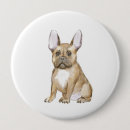 Buscar bulldog francés chapas Adorable