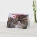 Buscar kitsch tarjetas 9 º gata