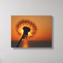 Buscar dandelion lienzos Planta