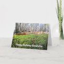 Buscar caída del árbol tarjetas Bosque