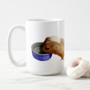 Buscar hamster tazas Conejillo