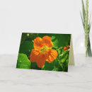 Buscar comestible tarjetas Colorido