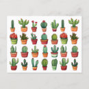 Buscar cactus del desierto postales General y unisex