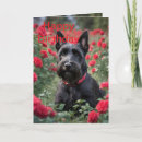 Buscar scottish terrier tarjetas Escocés