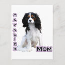Buscar cavidad postales Perro