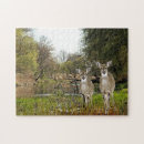 Buscar venado de cola blanca puzzles Animal