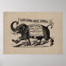 Buscar elefante gráfico posters Animales