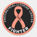 Buscar cáncer endometrial Apoyo
