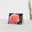 Buscar nin tarjetas Rosa