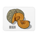 Buscar calabazas imanes General y unisex