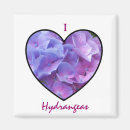 Buscar hydrangea imanes Floral