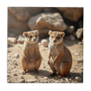 Buscar gemelos azulejos Vida silvestre