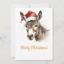 Buscar burros tarjetas Para todos