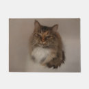 Buscar cat felpudos Gatos