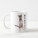 Buscar chinches General y unisex