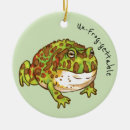 Buscar ranas adornos Selva tropical