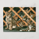 Buscar smoking postales Tabby