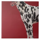 Buscar vertical azulejos Rojo