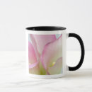 Buscar vida vegetal tazas Flor