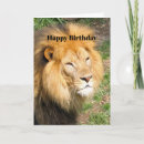 Buscar cara del león tarjetas Vida silvestre