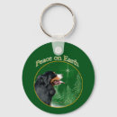 Buscar bernese Berner