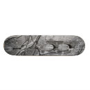 Buscar nieve tablas de skate Río