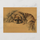 Buscar pekingese postales Perro