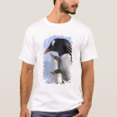 Buscar gentoo camisetas Colonia