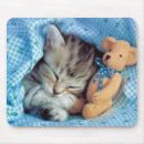 Buscar teddybears Oso