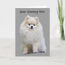 Buscar poms tarjetas Perro