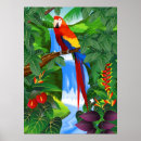 Buscar macaw posters Loro