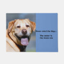 Buscar grin Perro