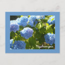 Buscar hortensias postales Azul