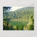 Buscar chile postales General y unisex