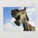 Buscar bostezo postales Animal