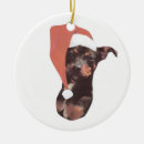 Buscar del pinscher miniatura navidad Perno mínimo