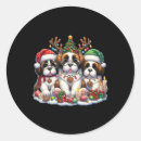 Buscar saint bernard pegatinas Feliz navidad