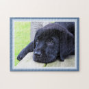 Buscar labrador negro puzzles Cachorro