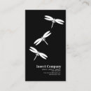 Buscar insectos tarjetas de visita Exterminador