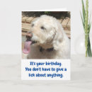 Buscar chistoso tarjetas Amantes del perro