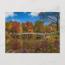 Buscar central park postales 1 º caída