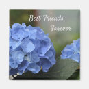 Buscar hydrangea imanes Azul