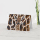 Buscar linda tarjetas Marrón