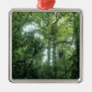 Buscar costa rica adornos Verde