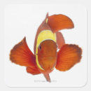 Buscar sealife pegatinas El nadar