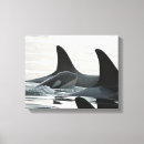 Buscar ballenas la orca posters niños y bebes Bebé